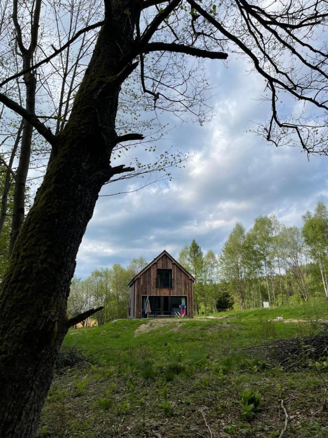 Mlynowiec 4Rest Stronie Slaskie Exterior photo